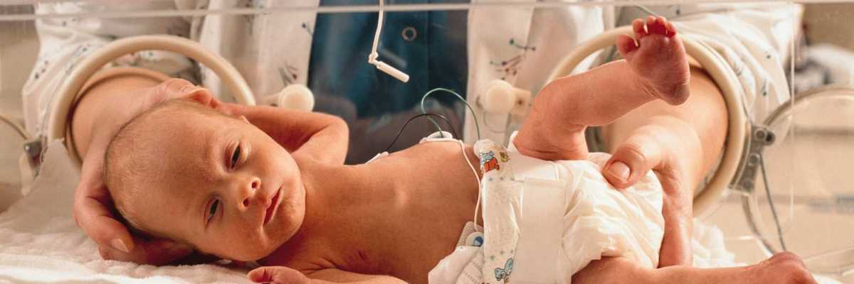 A doctor handles an infant in an incubator