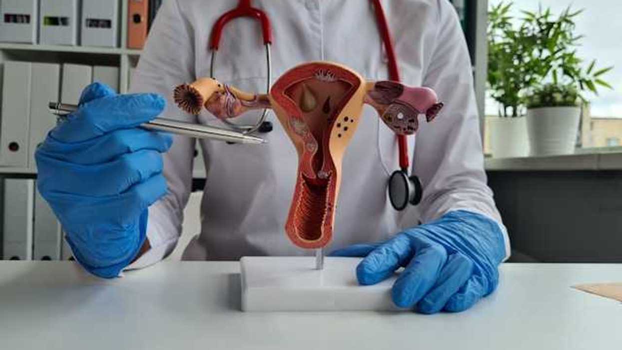A doctor pointing at a model of the female reproductive system