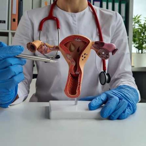 Q&A: Are environmental chemicals and endometrial cancer linked?
