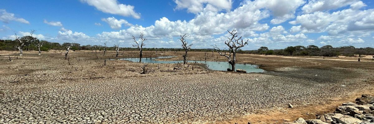 photo of Climate change and pollution threaten Europe's resources, EU warns image
