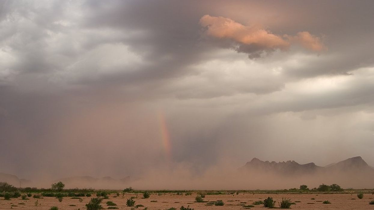 Drought and heat drive a surge in dangerous dust storms across the ...