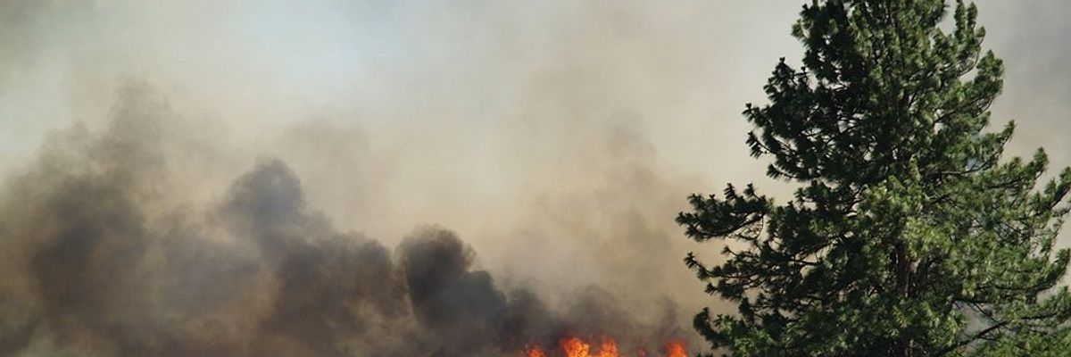 A dry landscape with a fire advancing toward a group of trees.