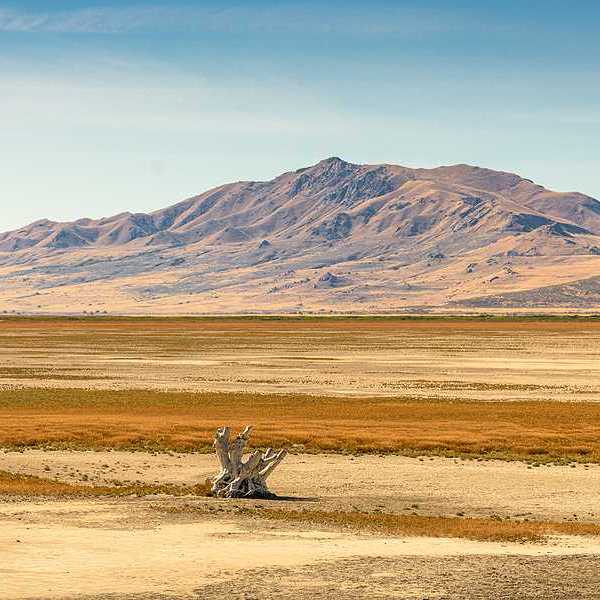 A dry section of the Great Salt Lake with mountains in the background