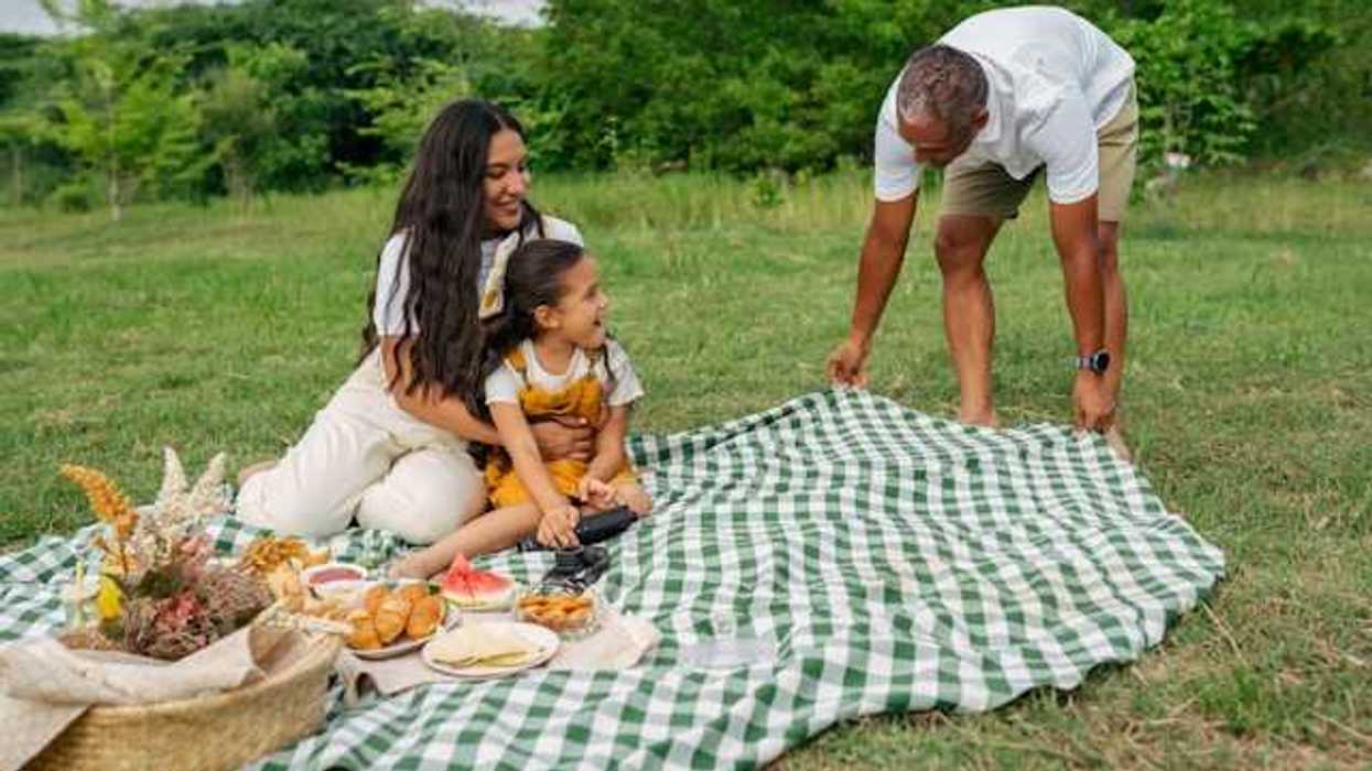 A family having a picnic in a greenfield