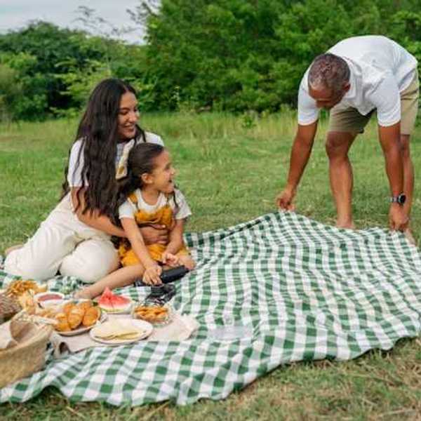 A family having a picnic in a greenfield