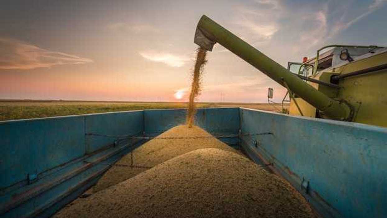 A farm combine harvesting wheat