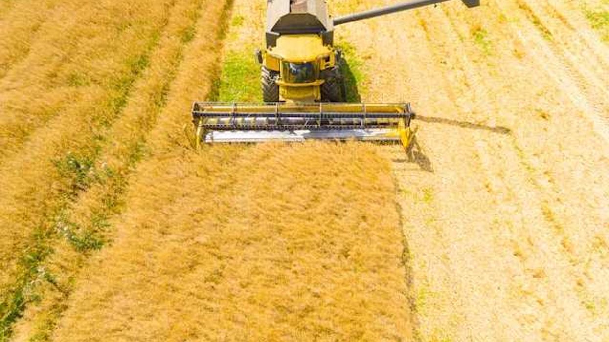 photo of How Big Agriculture got its way in the latest MAHA report image