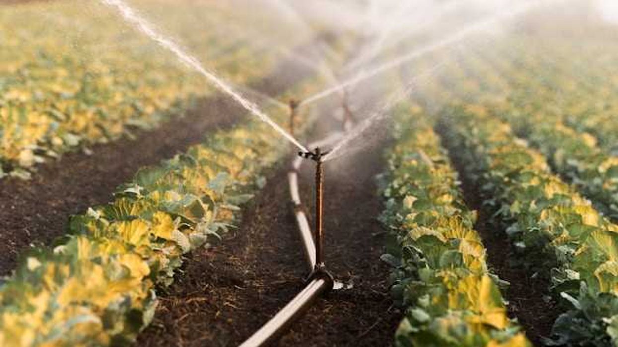 Idaho Surface Water Coalition says severely needed water supply ‘simply is not there’