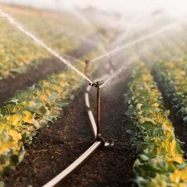 A farm field being watered