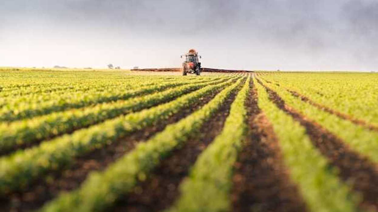 A farm field with a tractor in the background