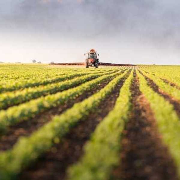 A farm field with a tractor in the background