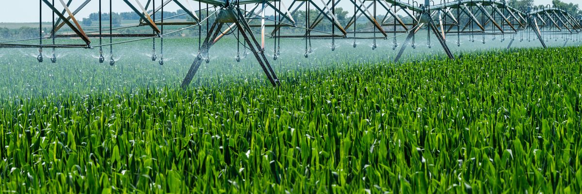 a farm sprinkler spraying water on a green field.
