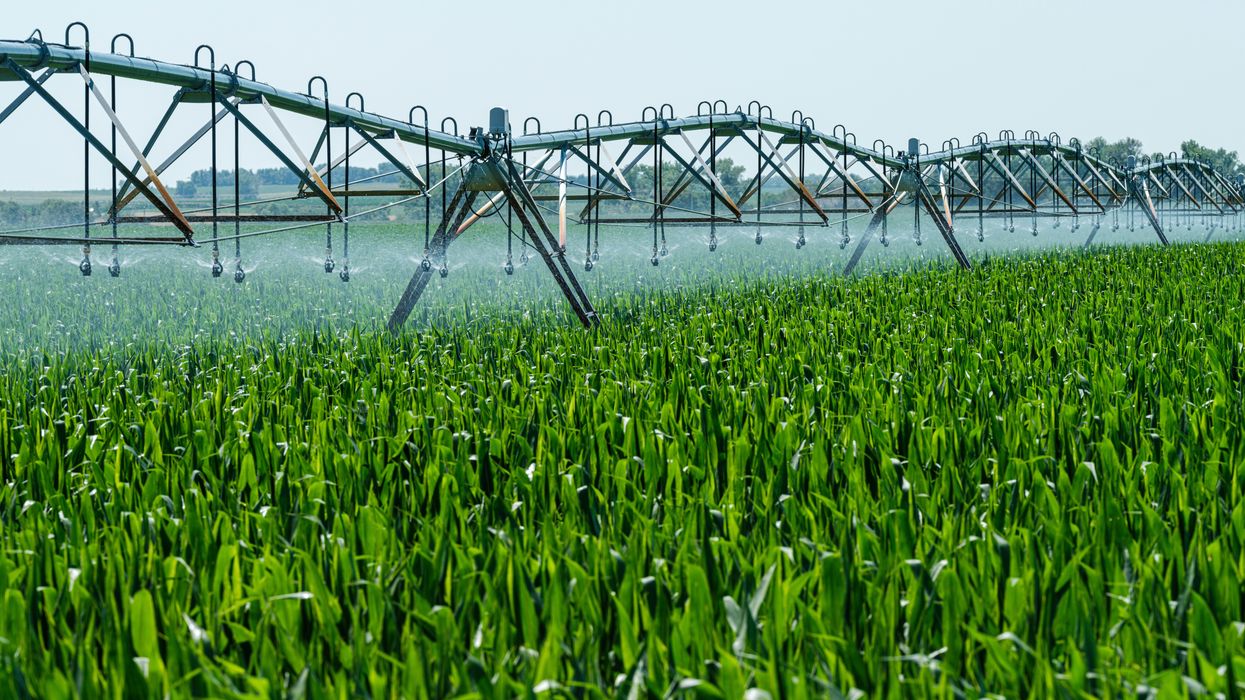 a farm sprinkler spraying water on a green field.