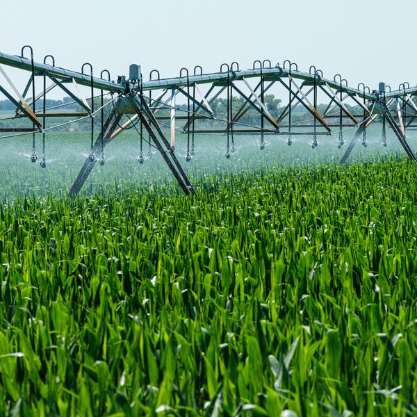 a farm sprinkler spraying water on a green field.
