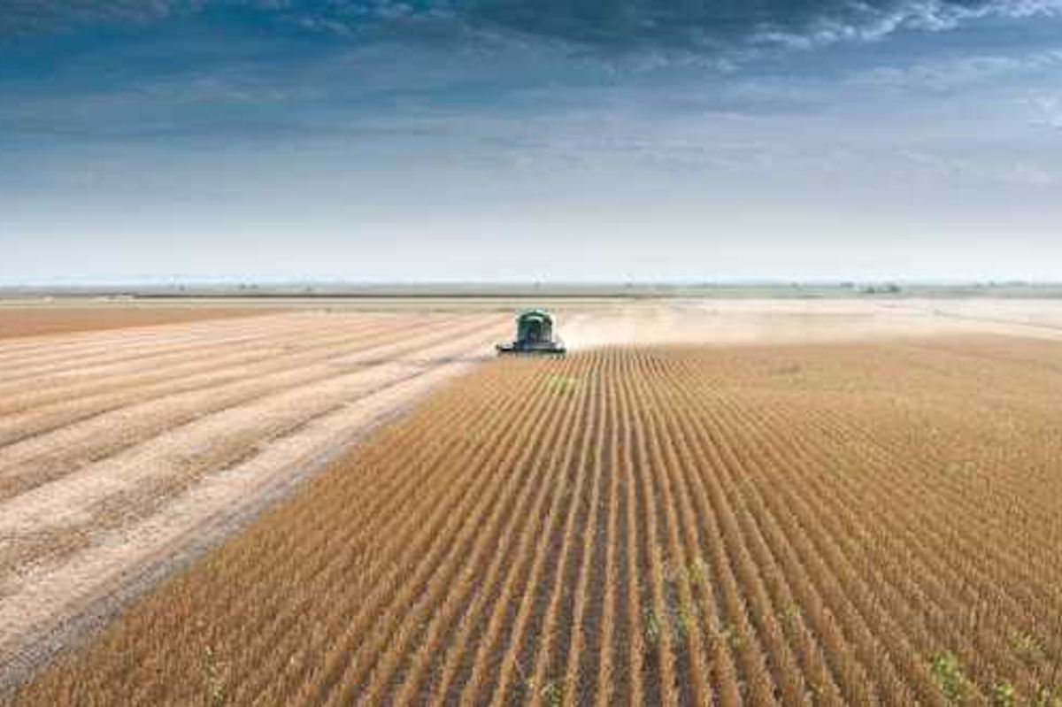 Task force warns of worsening drought on track to match last year