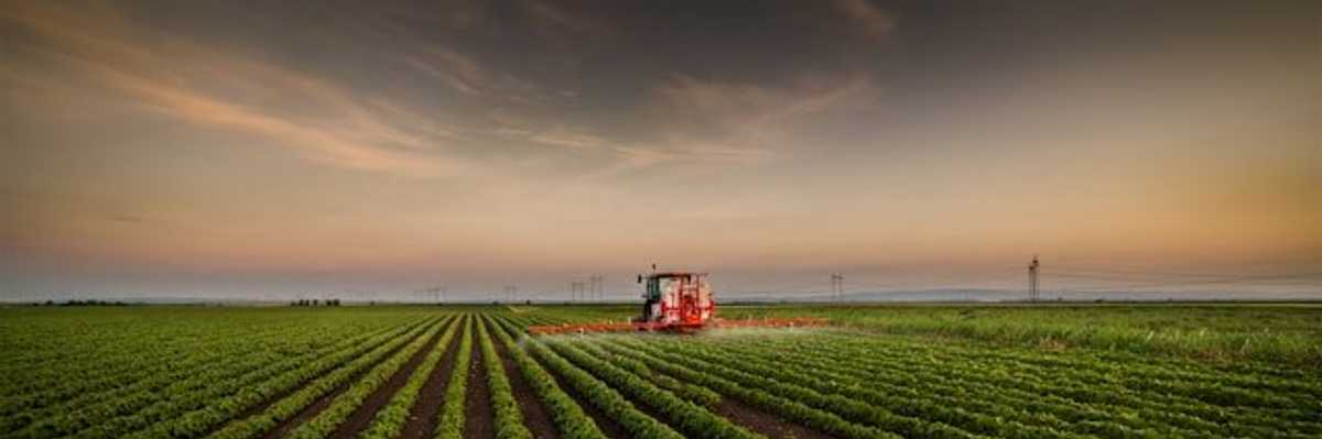 A farm tractor spraying liquid agrochemicals on crops at dawn.