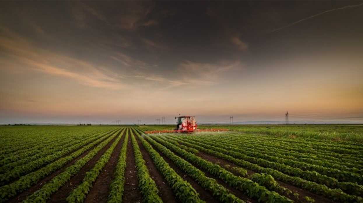 A farm tractor spraying liquid agrochemicals on crops at dawn.