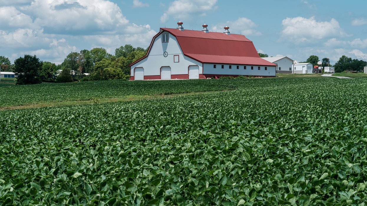 a farm with a barn and a red roof