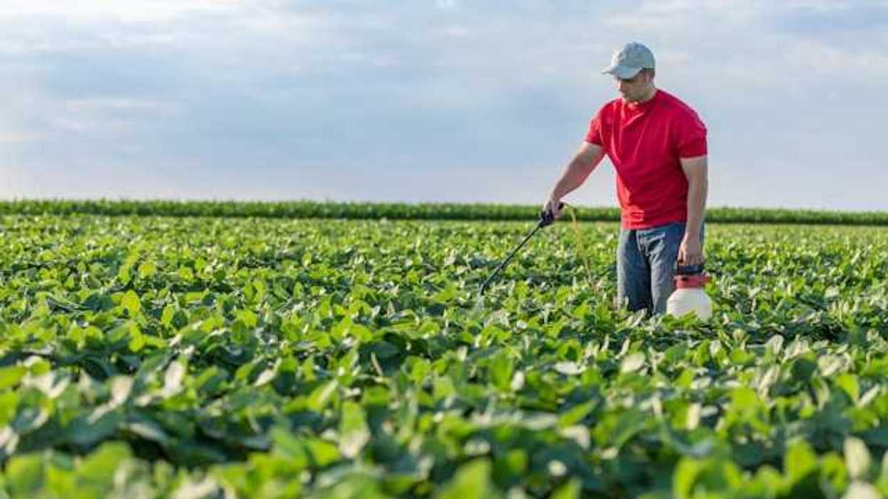 A farm worker spraying weed killer in a farm field