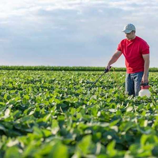 A farm worker spraying weed killer in a farm field