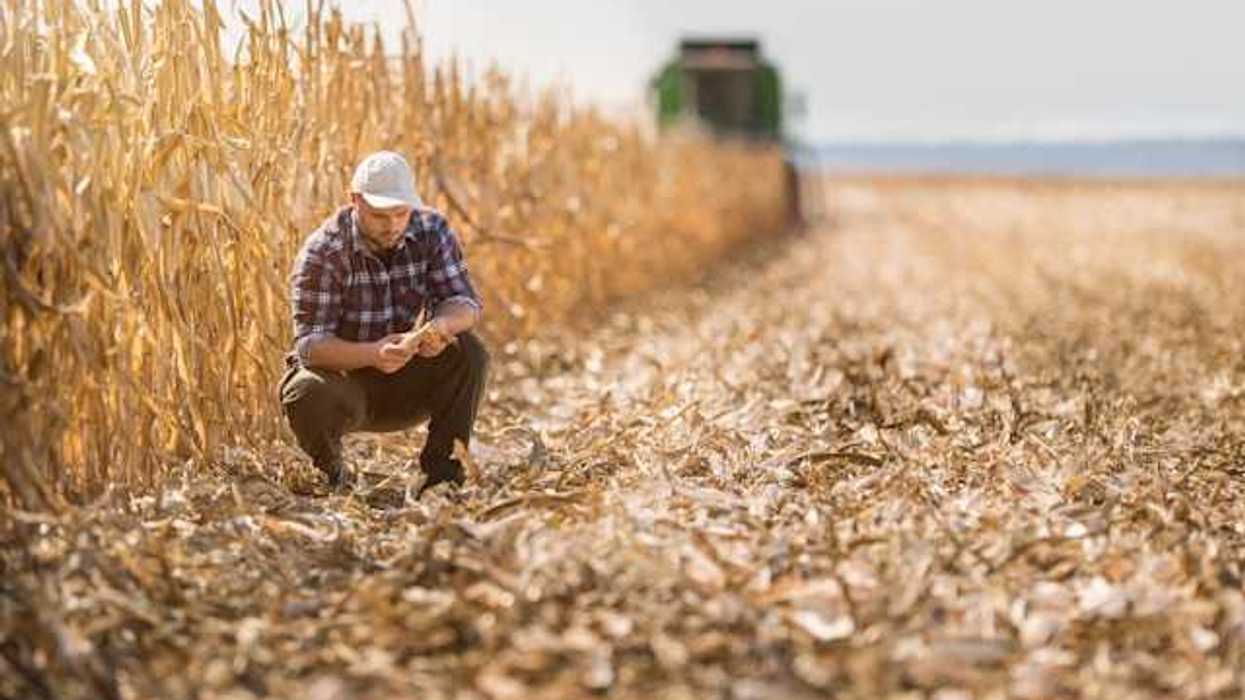 A farmer crouching in a dry field with a harvester in the background