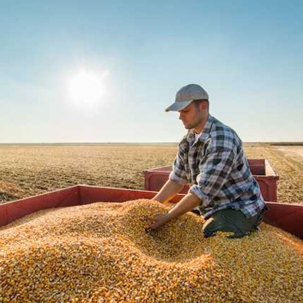 Neonicotinoid health risks: widespread exposure, growing evidence of harm