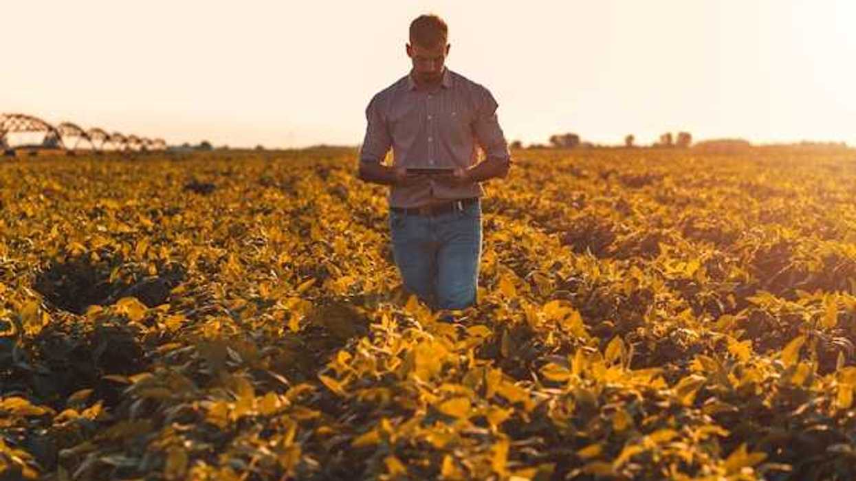 A farmer in a field looking down at a tablet
