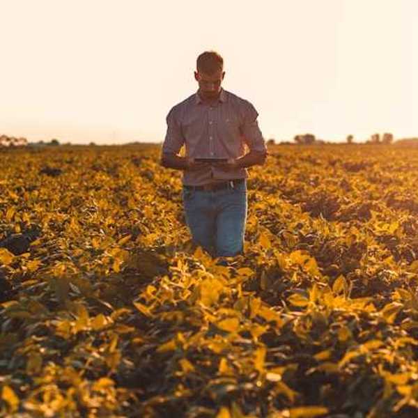A farmer in a field looking down at a tablet