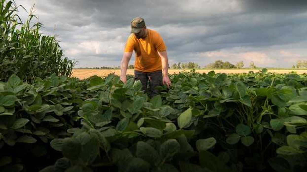 A farmworker in a farm field with dark clouds behind him