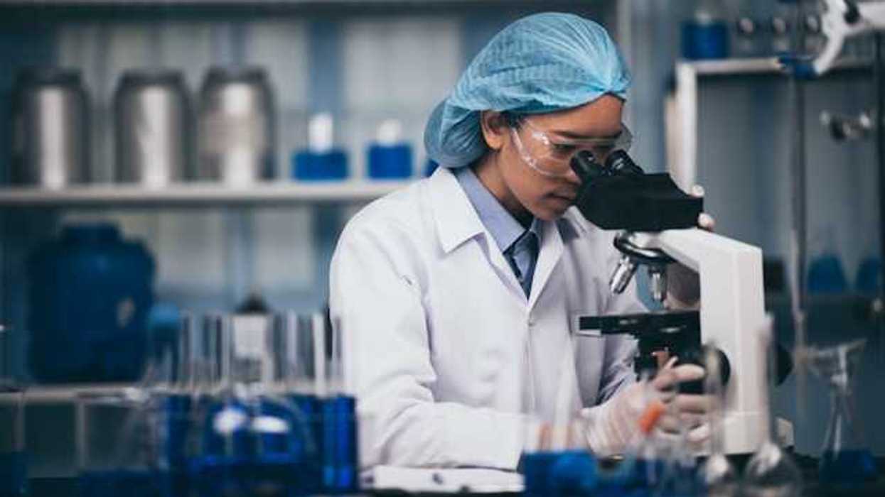 A female scientist sitting at a lab counter looking at slides in a microscope
