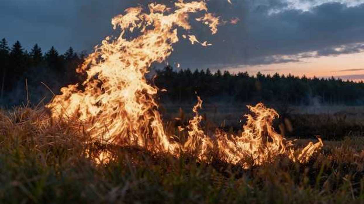 A fire burning at night with a forest in the background