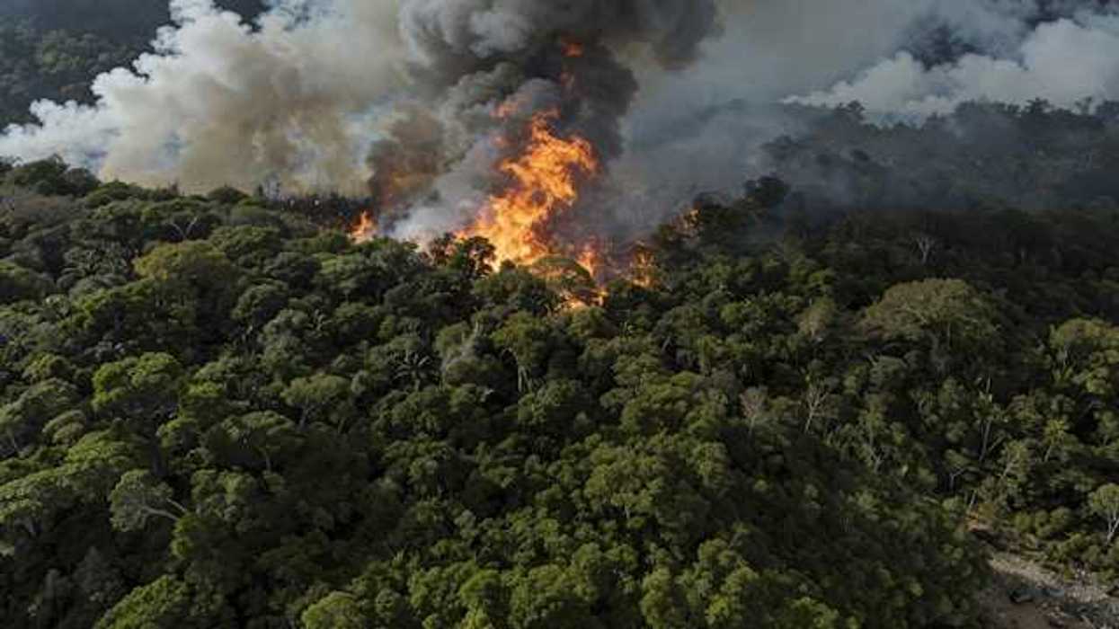A fire raging in the Amazon forest