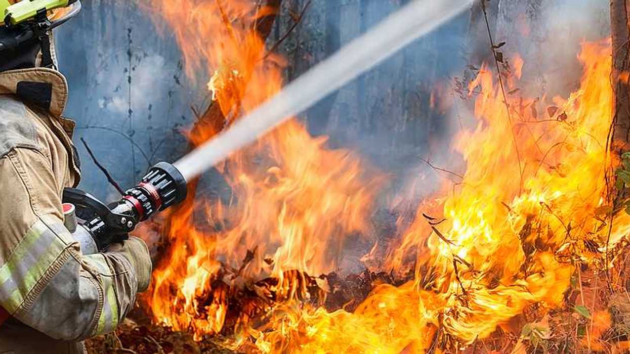 A firefighter training a water hose on a wildfire
