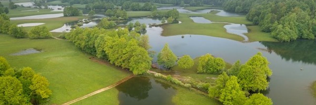 A flooded field with green forested hills in the background.