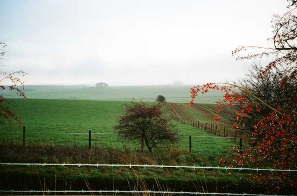 Pennsylvania looks to reduce ‘forever chemicals’ in sewage sludge on farm fields