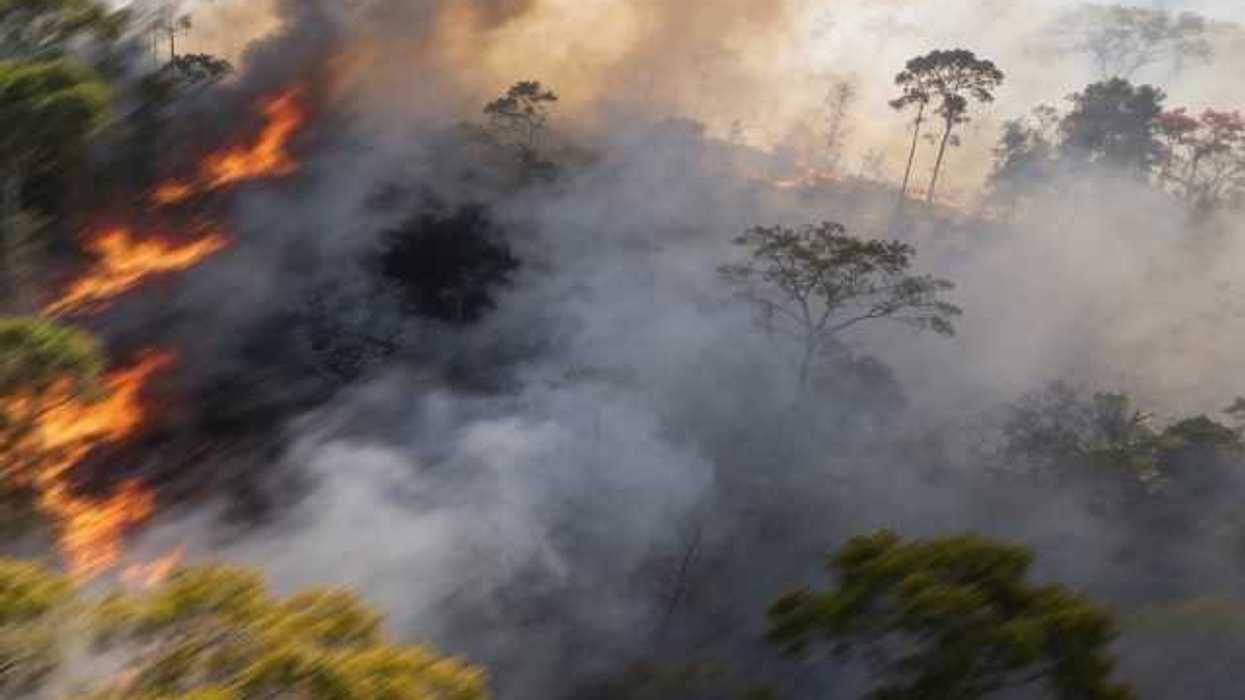 A forest fire with dark wildfire smoke reaching into the air
