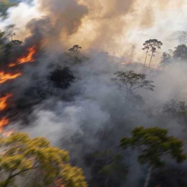 A forest fire with dark wildfire smoke reaching into the air