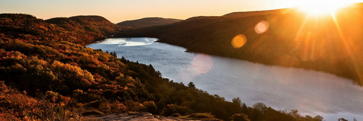 A forest landscape in Michigan's Upper Peninsula