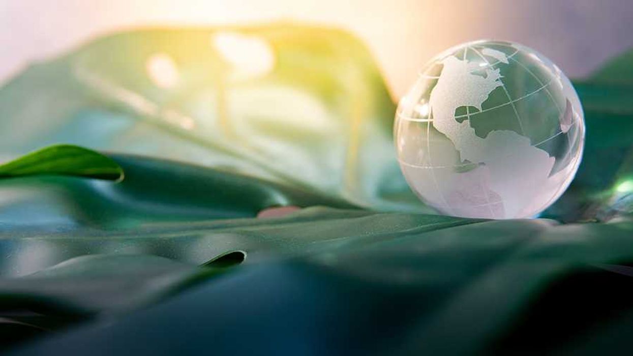 A glass globe sitting on green leaves