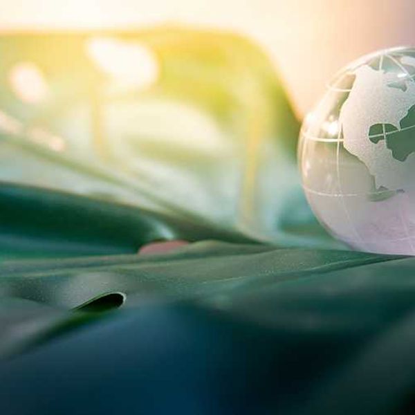 A glass globe sitting on green leaves