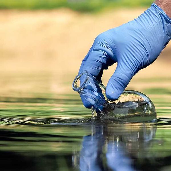 A gloved hand dipping a beaker into water in order to take a sample