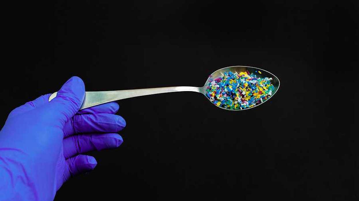 A gloved hand holding a spoon filled with tiny pieces of plastic