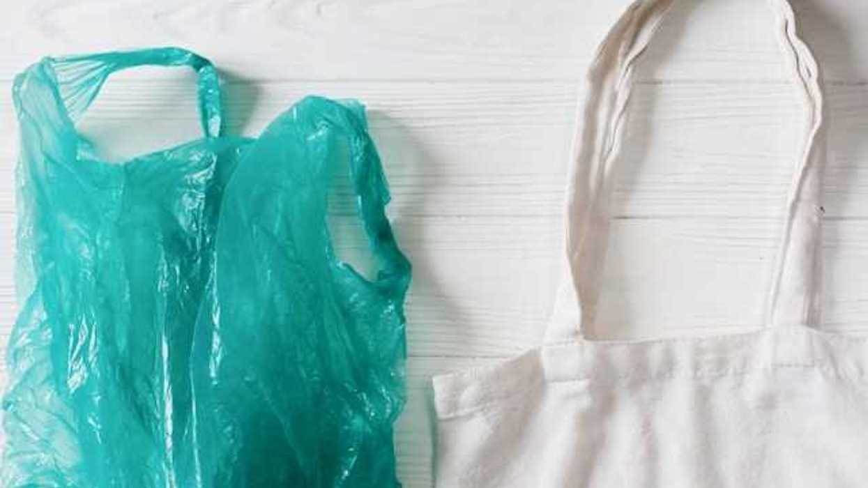 A green plastic bag next to a white tote against a wooden white background