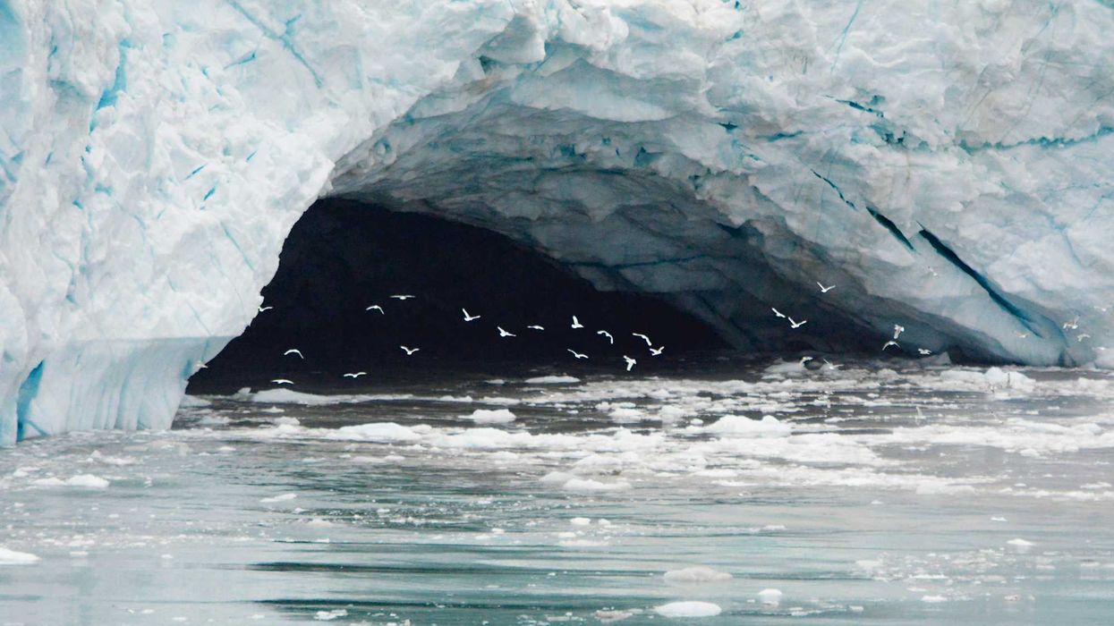 a group of birds flying under a large cracked iceberg