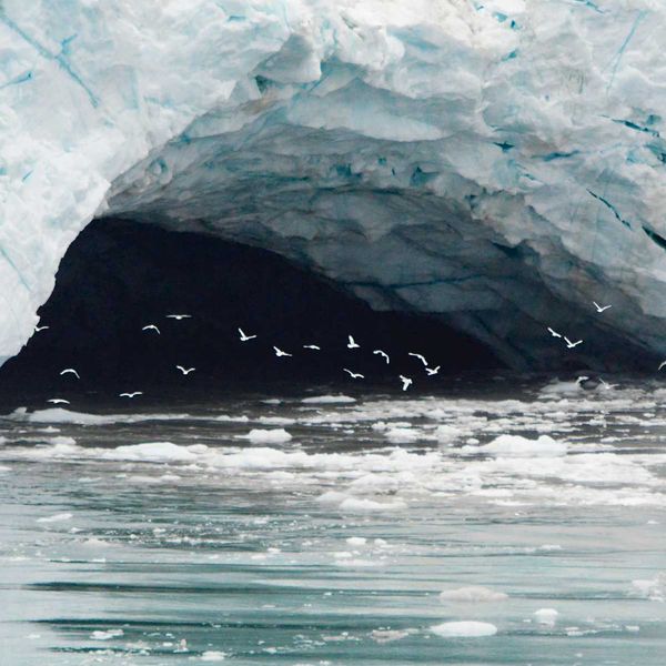 a group of birds flying under a large cracked iceberg