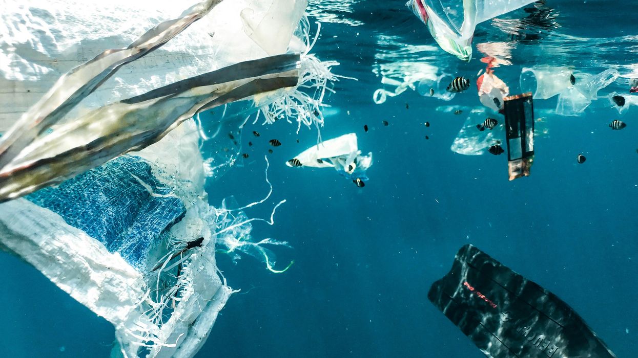 Should I worry about microplastics?