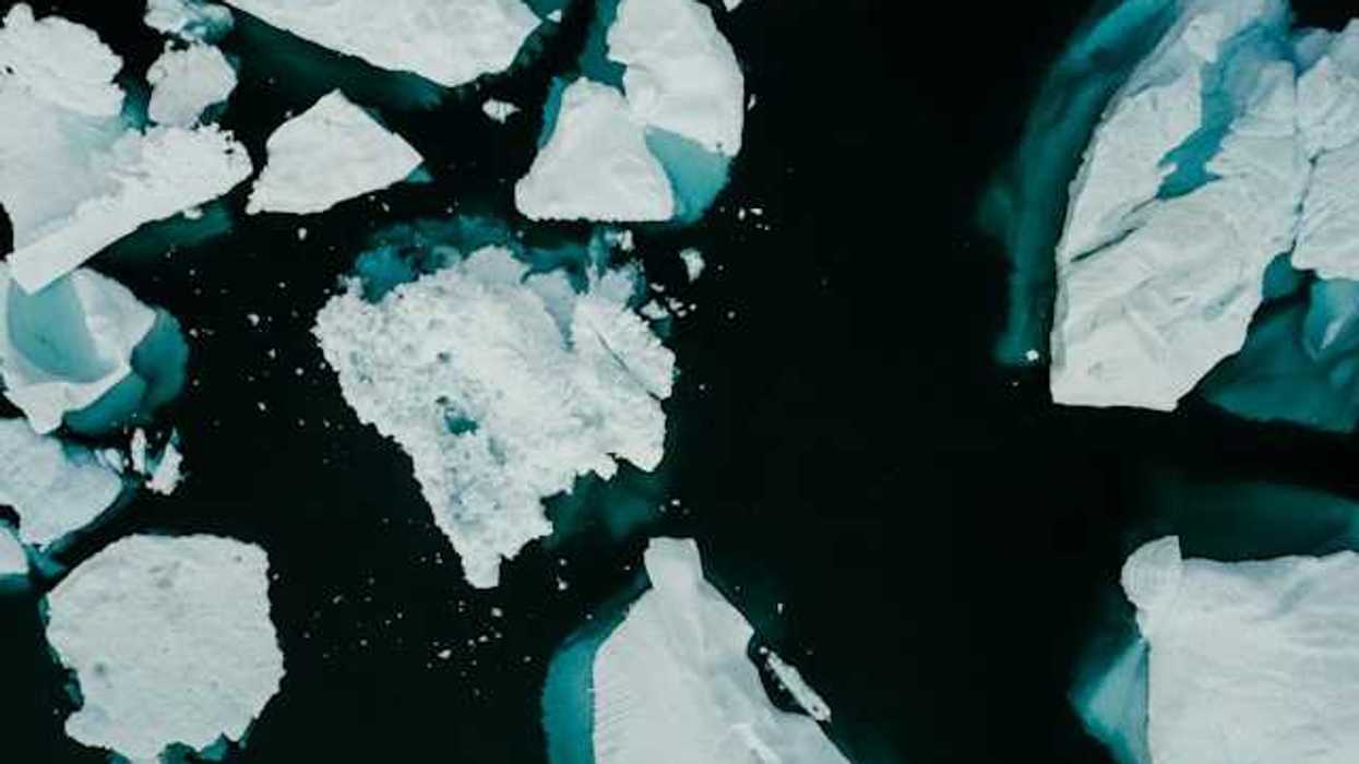 A group of icebergs floating around