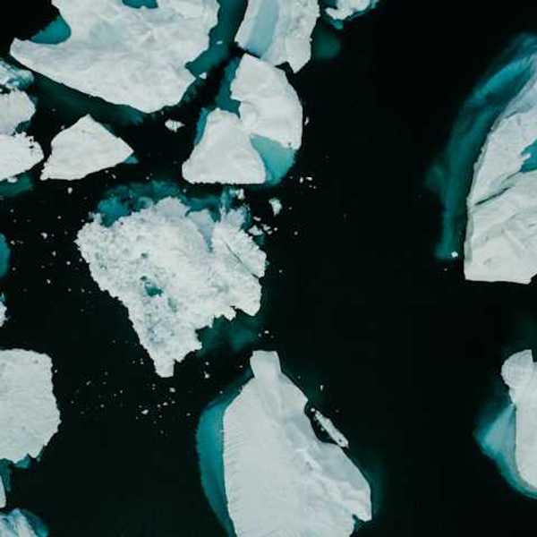 A group of icebergs floating around