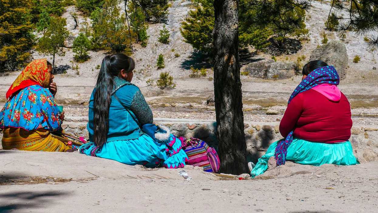 A group of Indigenous women in skirts and scarves sitting next to each other under a tree.
