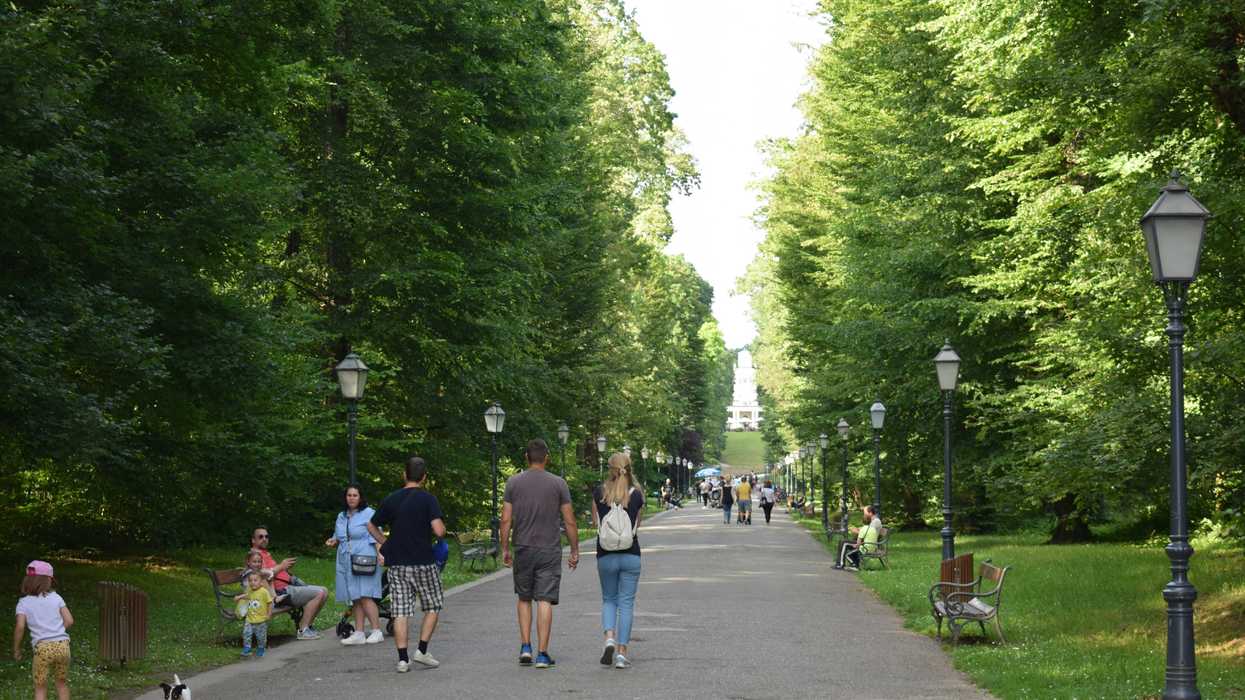 a group of people walking down a tree lined path in a park